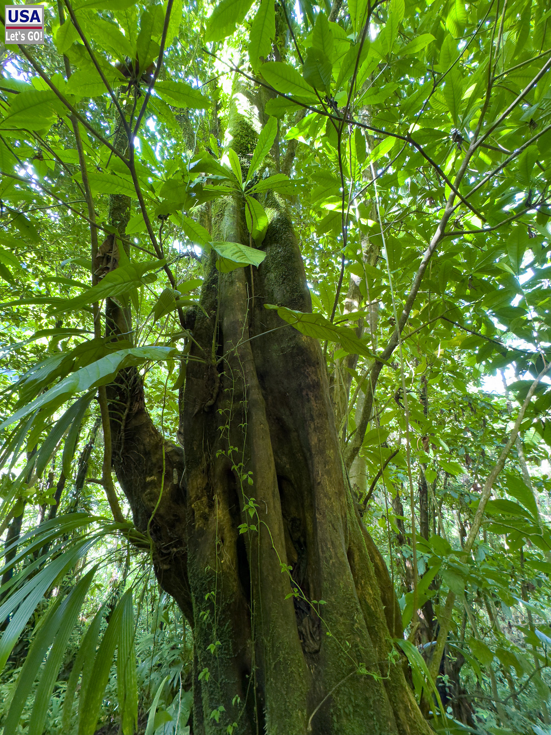 viveLaFrance Tour 2025