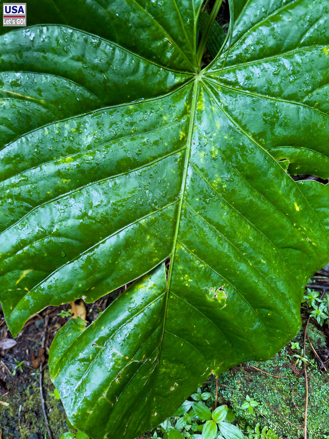 viveLaFrance Tour 2025