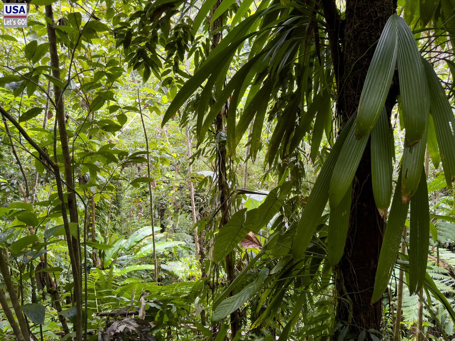 viveLaFrance Tour 2025