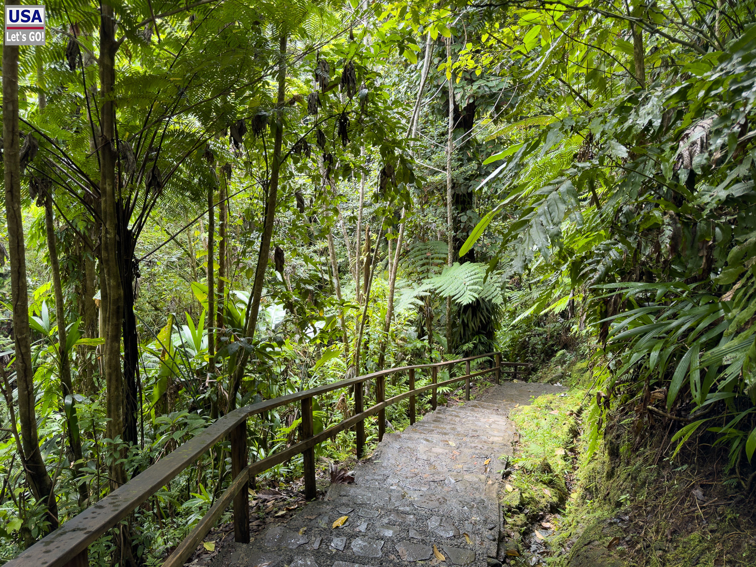 viveLaFrance Tour 2025