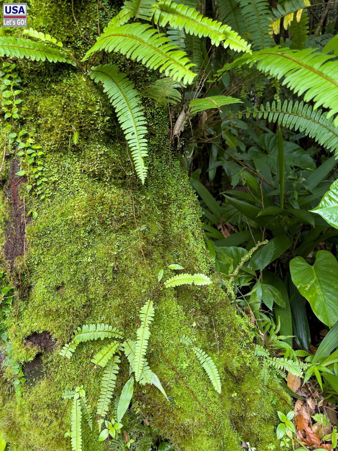 viveLaFrance Tour 2025