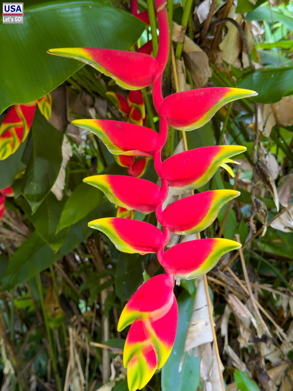 viveLaFrance Tour 2025