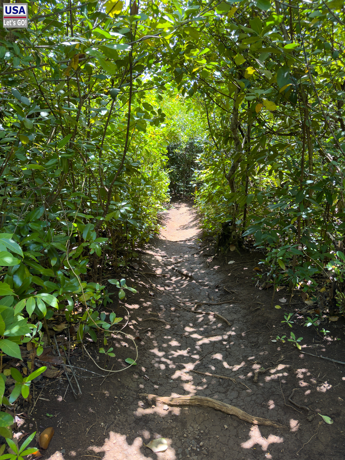 viveLaFrance Tour 2025