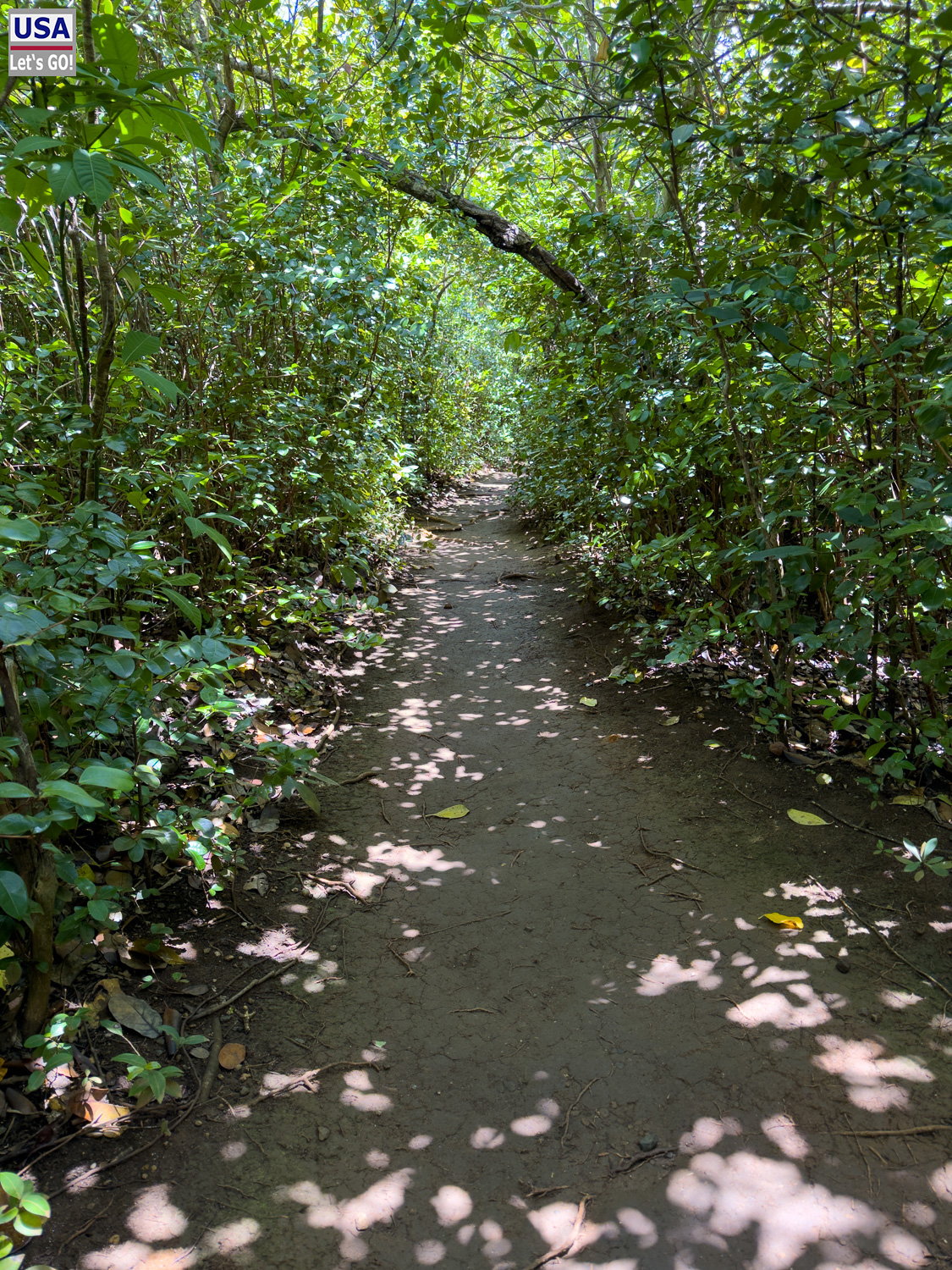 viveLaFrance Tour 2025