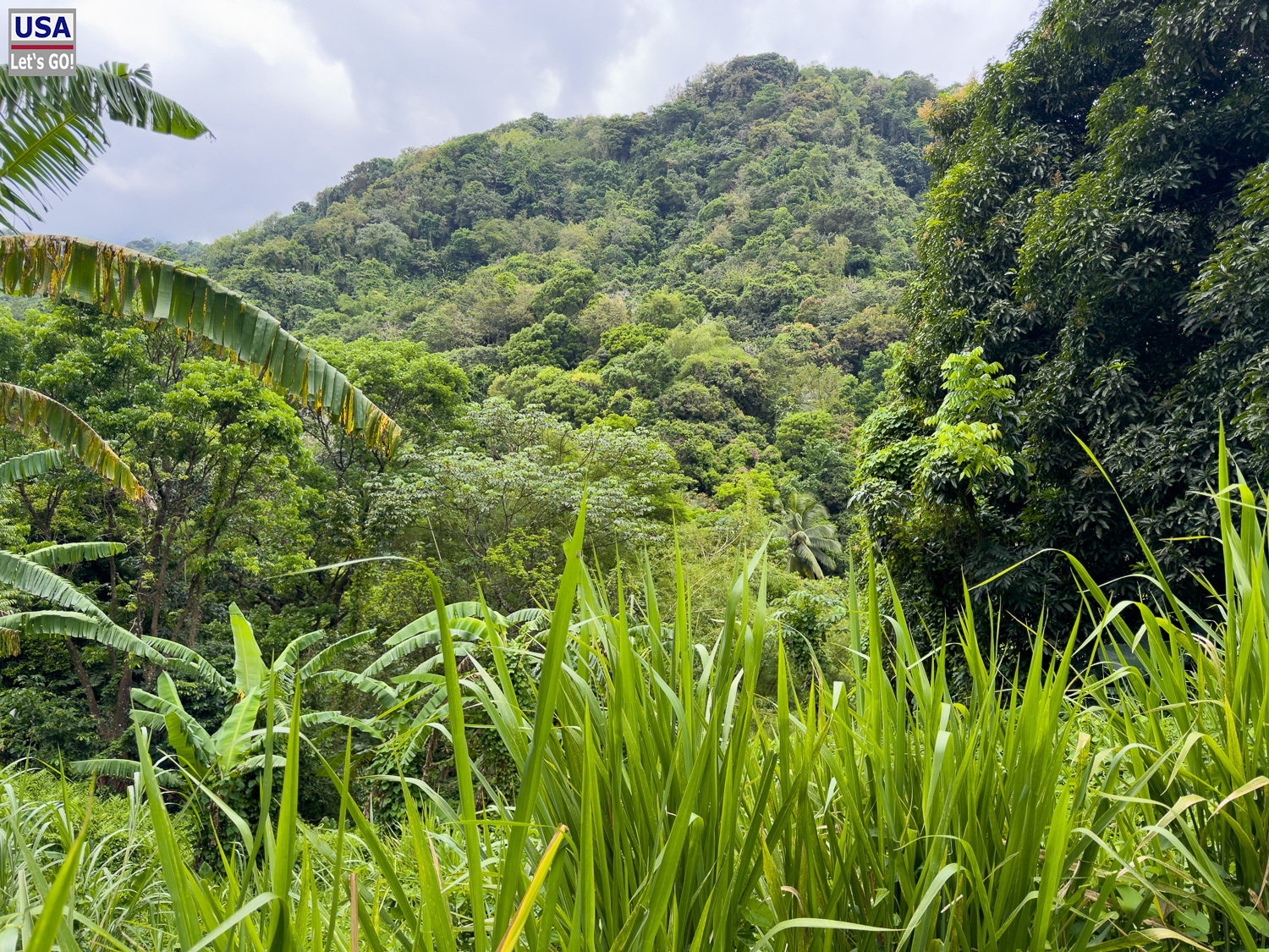 viveLaFrance Tour 2025