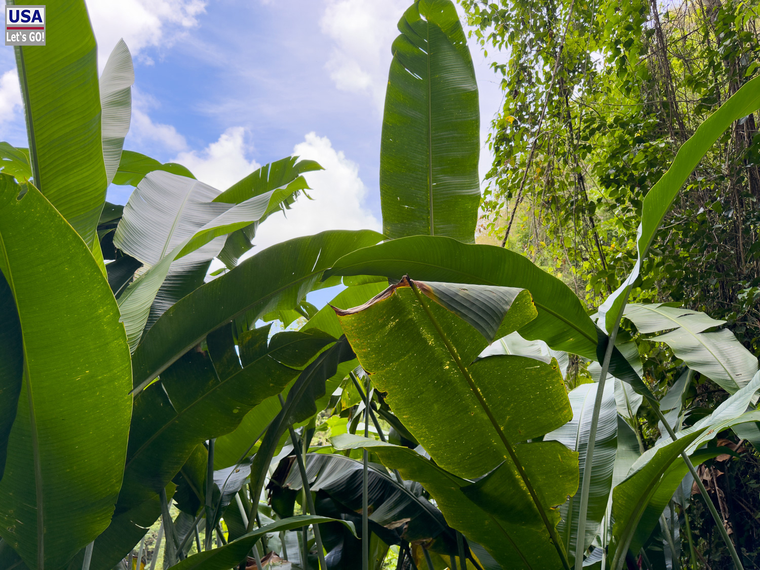 viveLaFrance Tour 2025