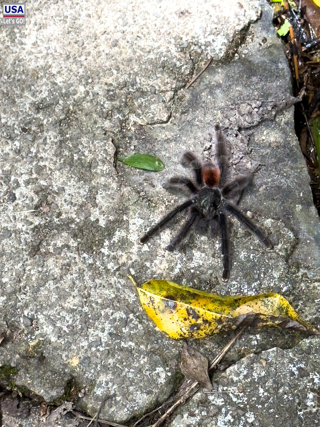 viveLaFrance Tour 2025