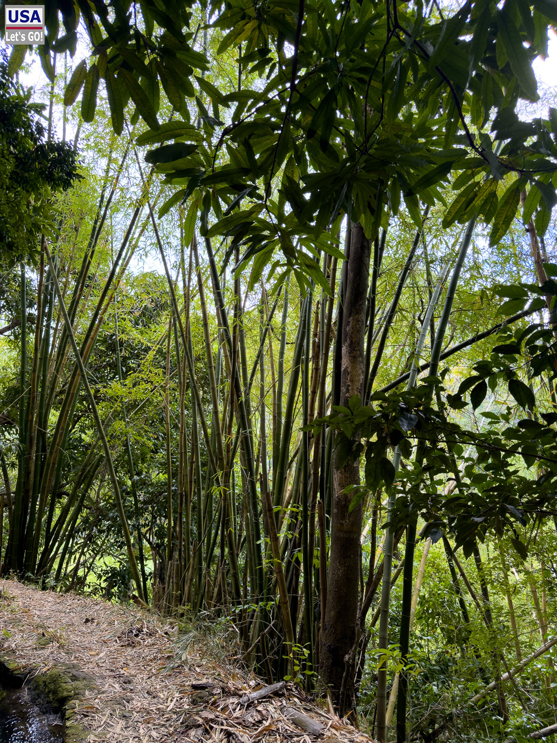 viveLaFrance Tour 2025