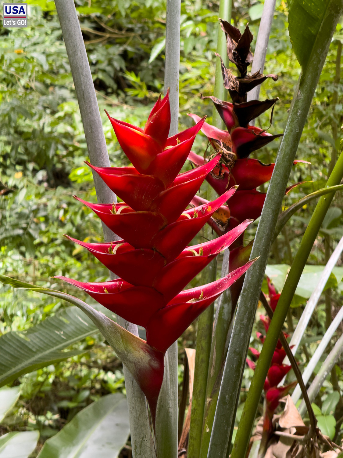 viveLaFrance Tour 2025