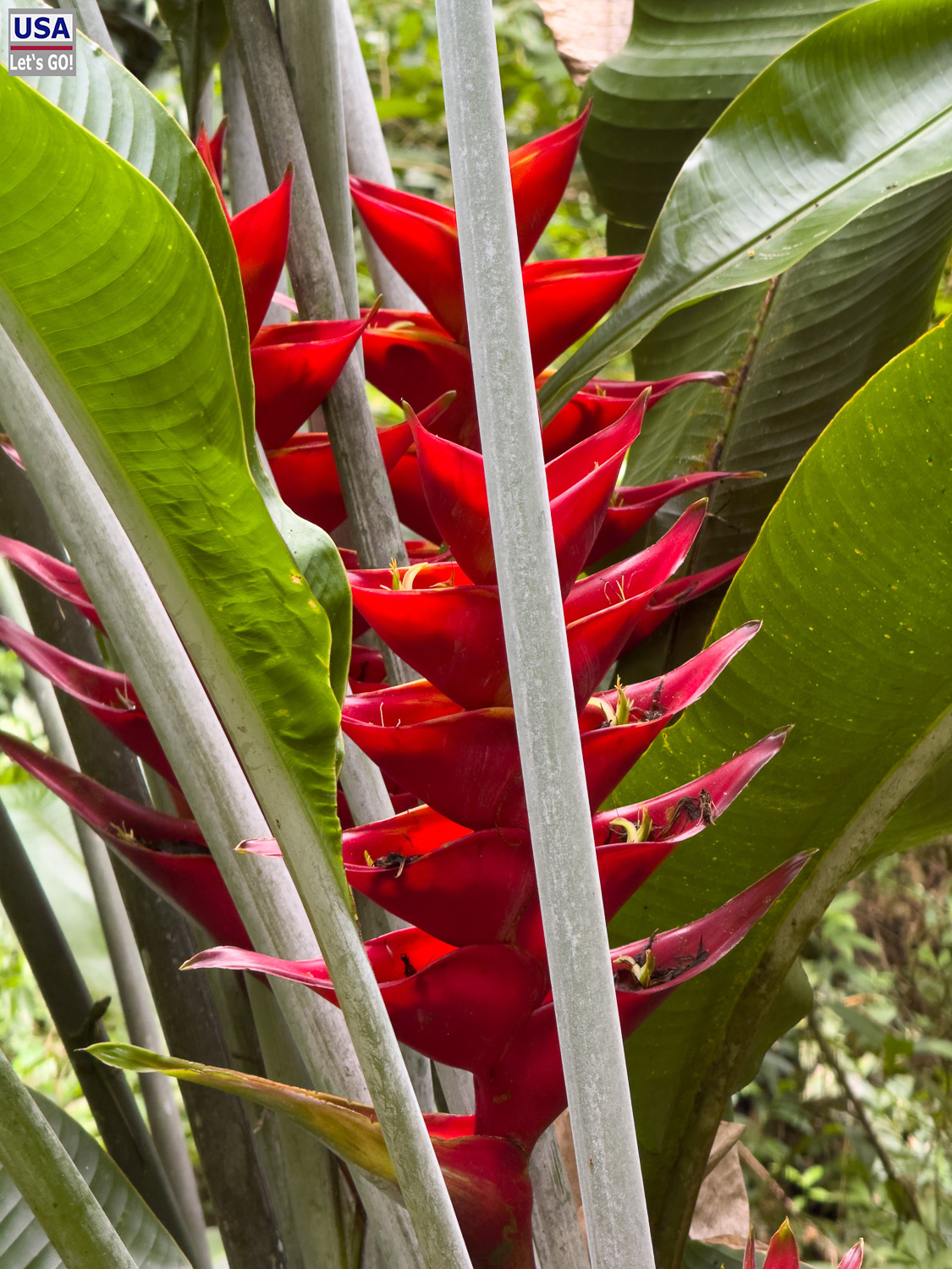 viveLaFrance Tour 2025