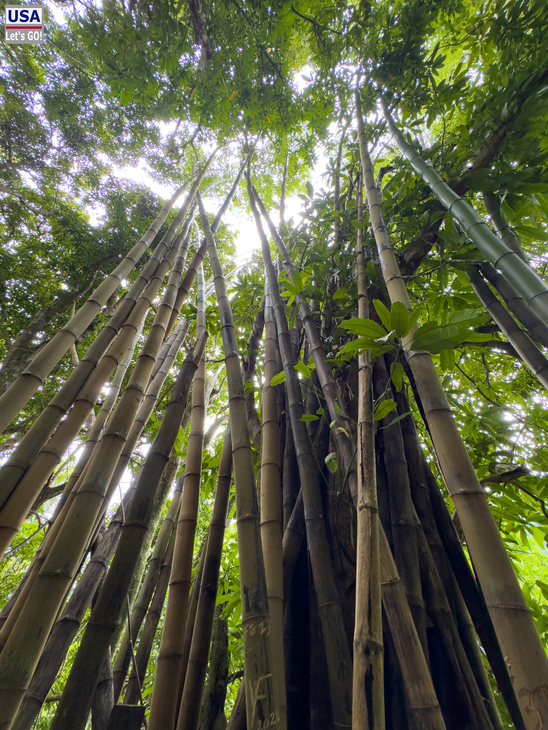 viveLaFrance Tour 2025