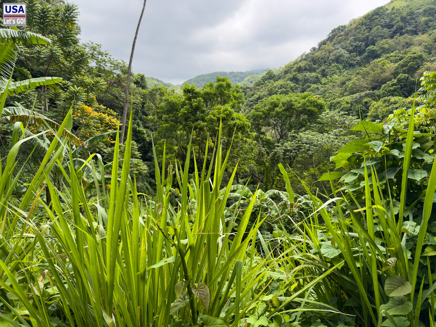 viveLaFrance Tour 2025