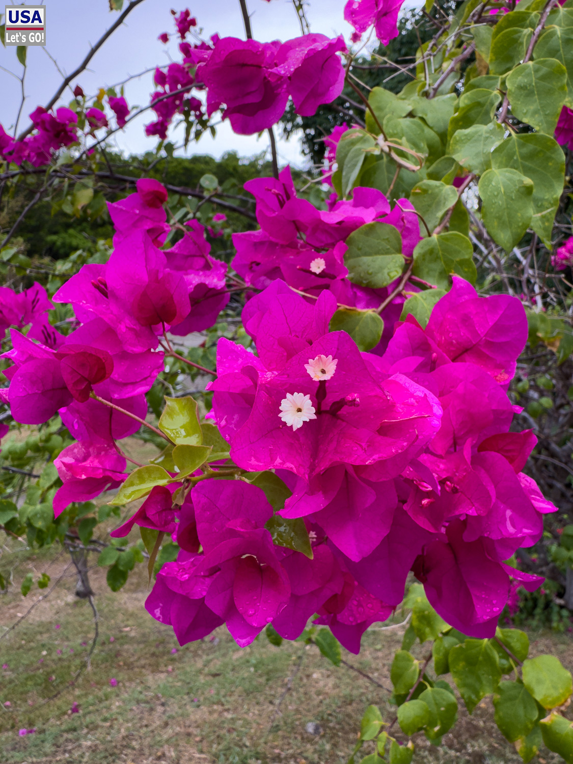 viveLaFrance Tour 2025