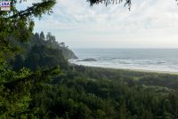 Cape Disappointment State Park (WA)