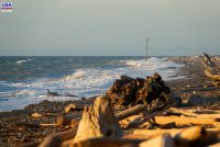 Dungeness National Wildlife Refuge (WA)
