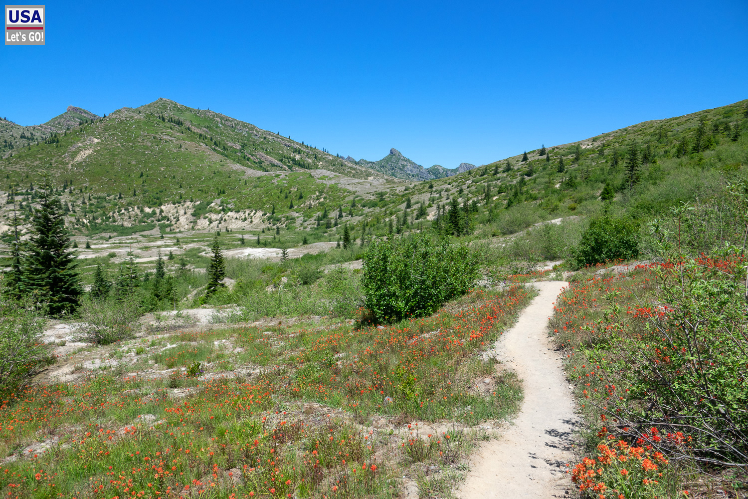 Harry´s Ridge Trail