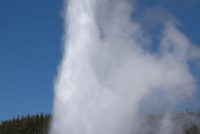Yellowstone National Park (WY)