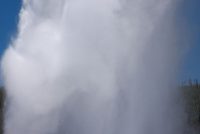 Yellowstone National Park (WY)